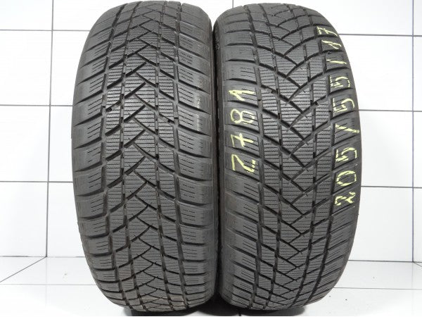 GT RADIAL WINTER PRO2 205/55R17 95 H