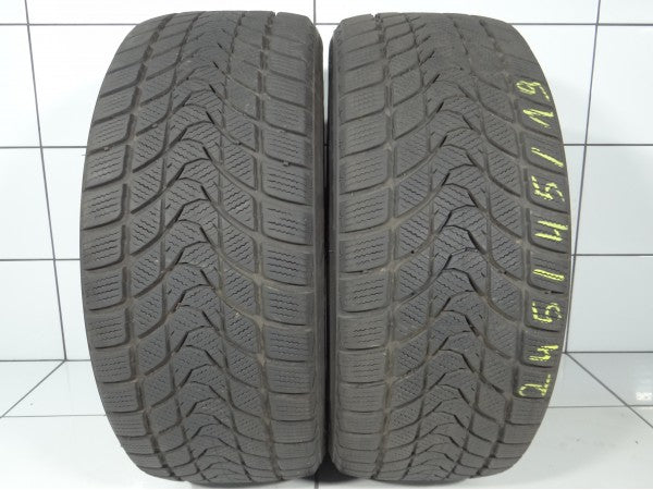 Delinte Winter WD1 245/45R19 98 S