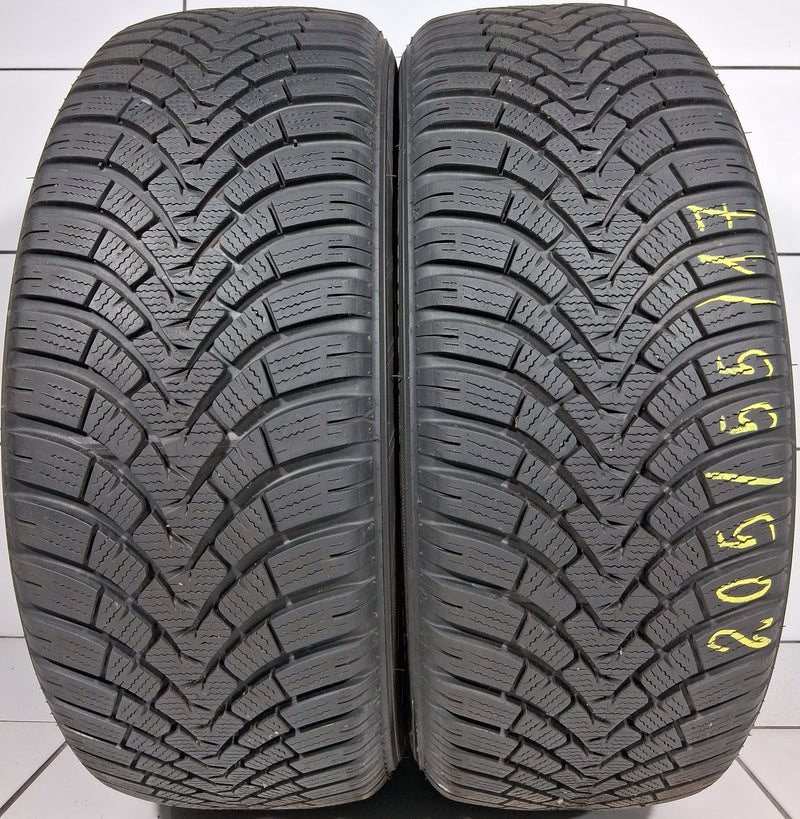 Falken EUROWINTER HS01 205/55R17 95 V